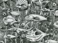 fish-underwater